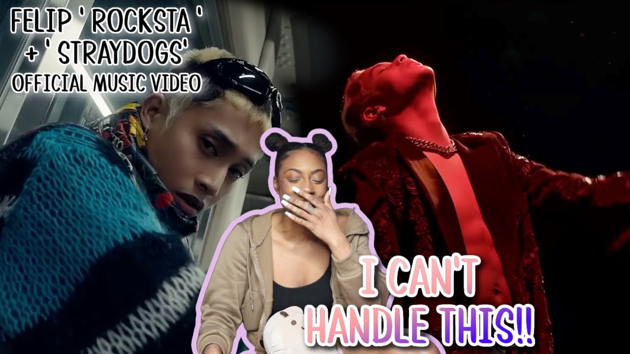 FELIP ✿ 'ROCKSTA' + 'STRAYDOGS'  OFFICIAL MV  | REACTION