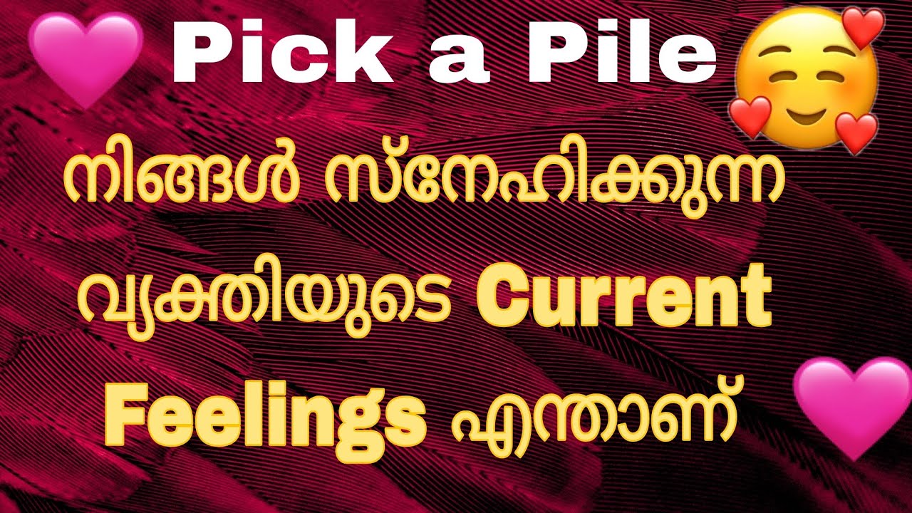 നിങ്ങൾ സ്നേഹിക്കുന്ന വ്യക്തിയുടെ Current Feelings🥰♥️😍Tarot Card Reading Malayalam