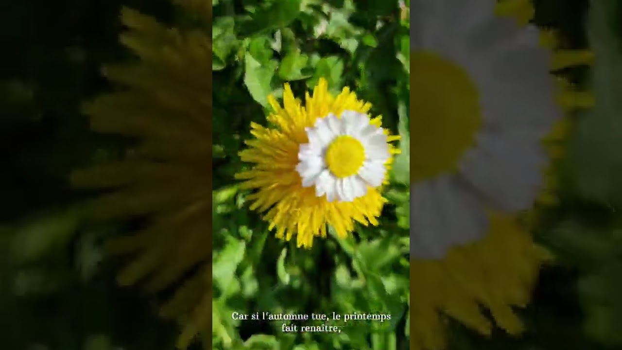 Secret de la nature