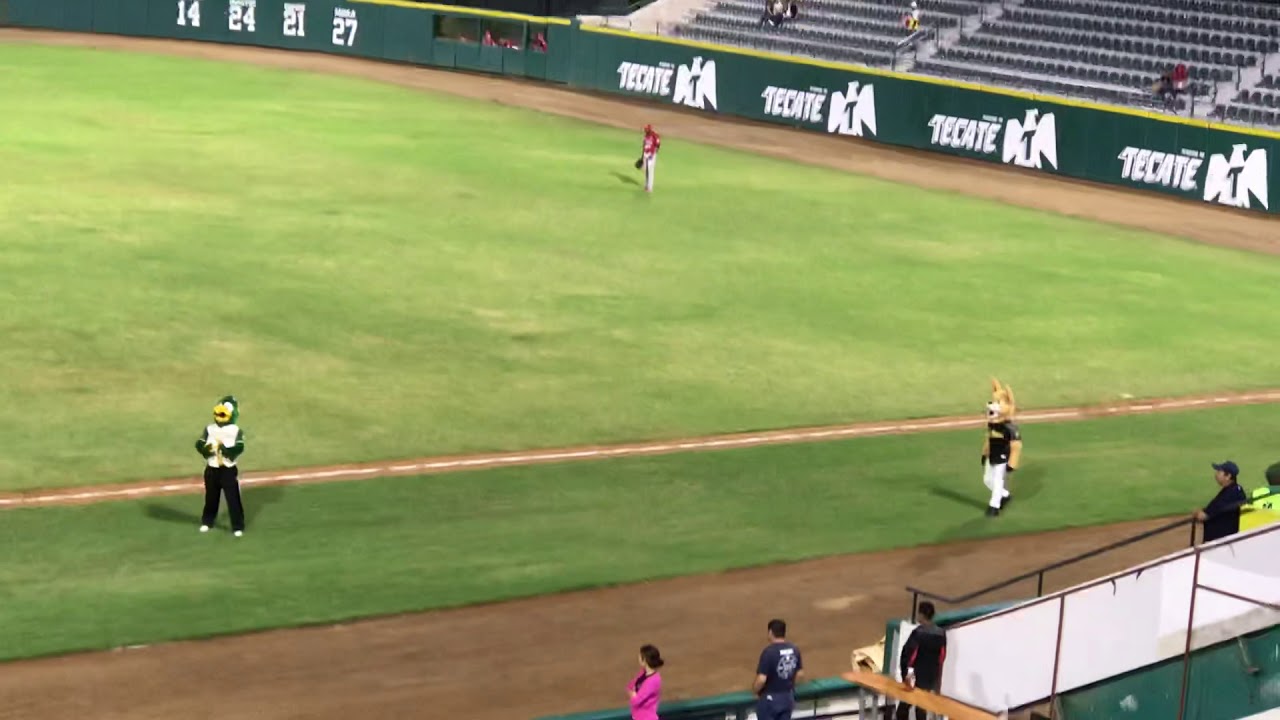Pepe ca&ntilde;as bailando🦜 &ldquo;CA&Ntilde;EROS&rdquo;⚾️
