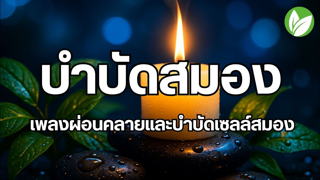 ดนตรีบำบัดสมอง พักสมองจากความเครียด ช่วยให้ผ่อนคลาย  เพลงผ่อนคลาย เพลงบำบัดความเครียด relaxing music