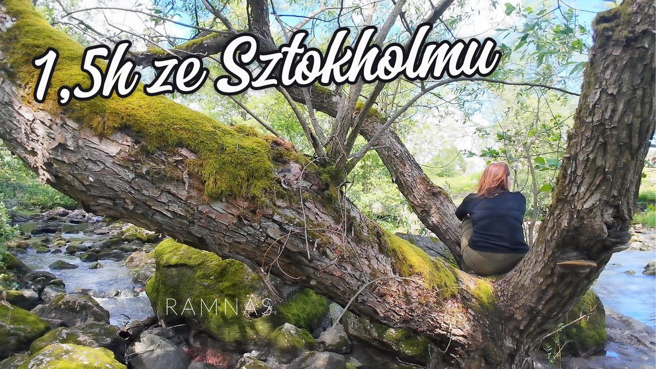 Ramn&auml;s &ndash; ukryte miejsce 1,5h ze Sztokholmu | dzika natura na Bruksleden