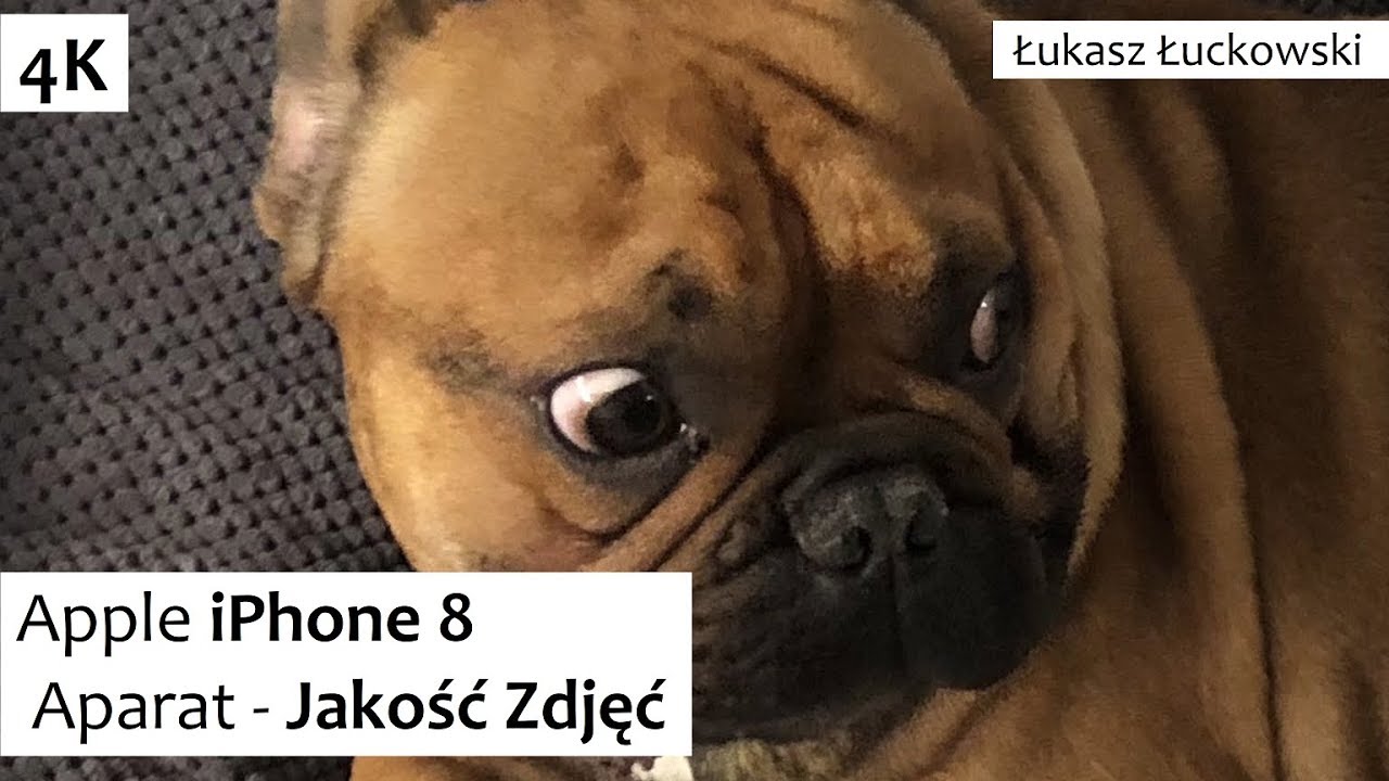Apple iPhone 8 Aparat | Jakość Zdjęć