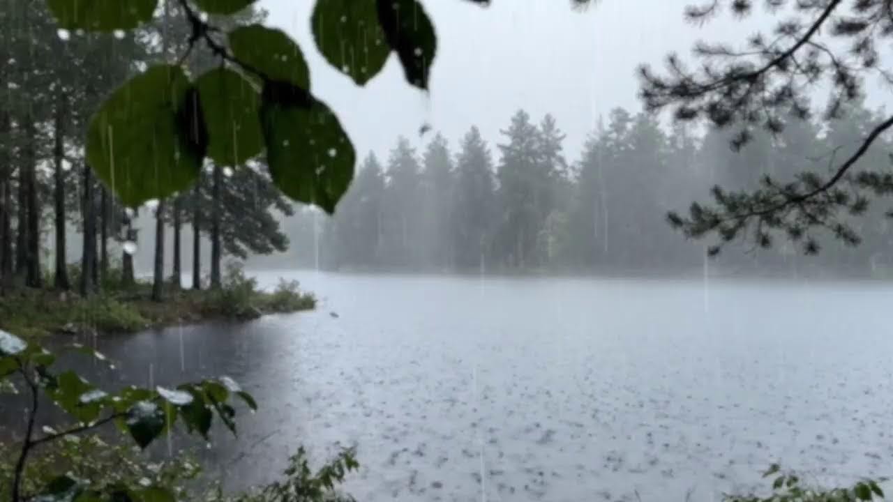 🔴 Heavy Rain & Gentle Thunder ASMR | Deep Sleep • Meditation • Stress Relief • Relaxing Ambience