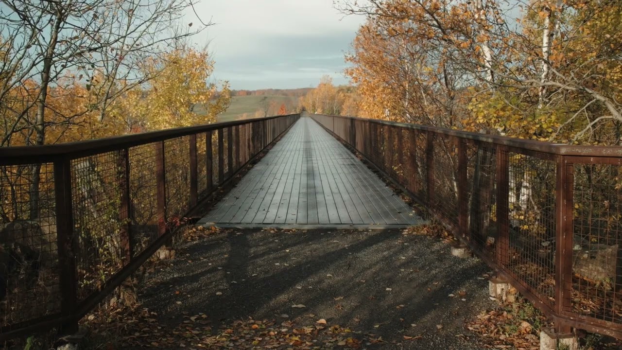 Fall Colors (2026)