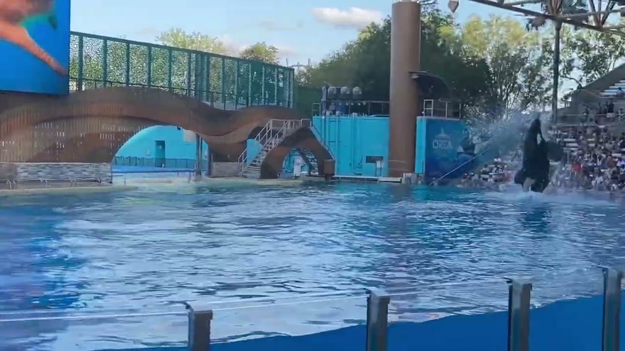 SeaWorld Orlando experience! 