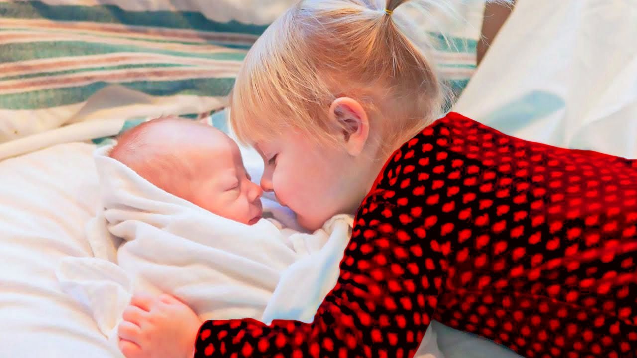 Priceless Moments When Toddler Meets Newborn