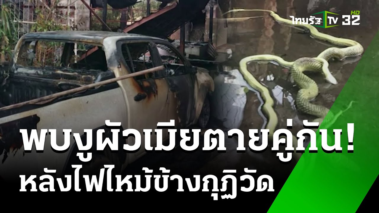 กระบะไฟไหม้ข้างกุฏิวัดสระมณี พบงูผัวเมียตายคู่กัน! | 30 ม.ค. 68 | ห้องข่าวหัวเขียว