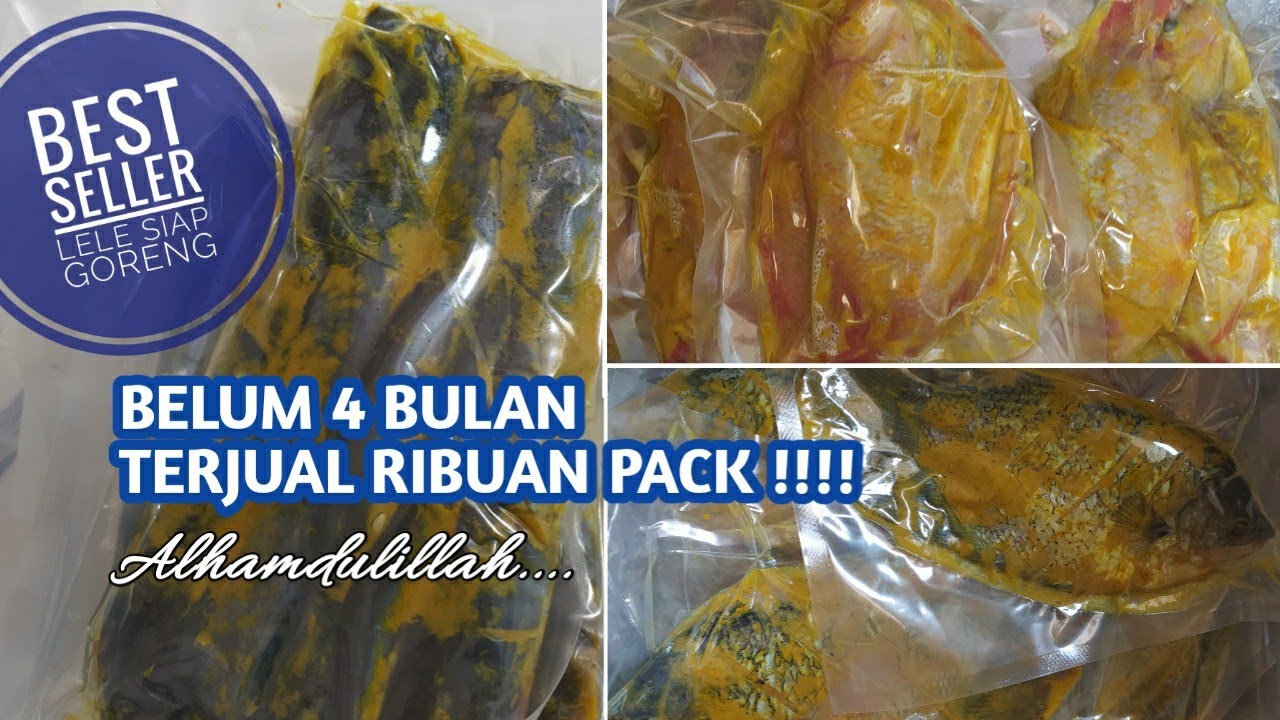 IDE USAHA Ikan Siap Goreng Vacuum Frozen