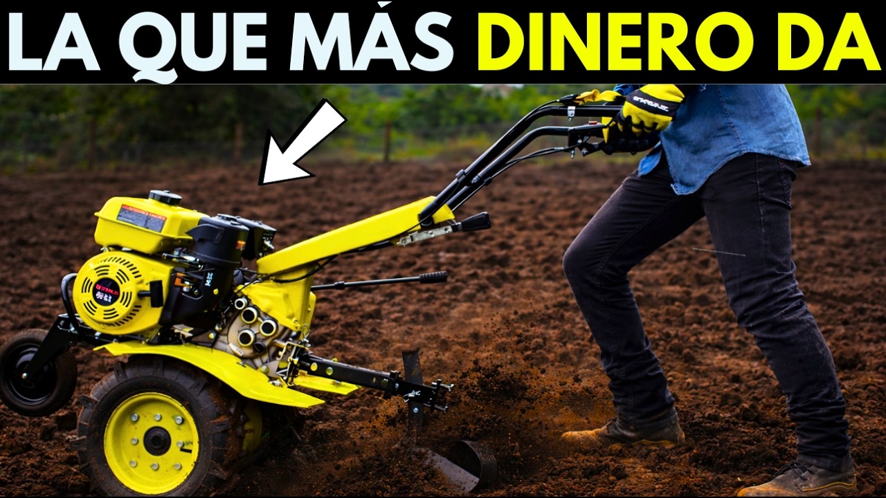 12 MÁQUINAS PARA DAR SERVICIOS QUE LA GENTE SÚPLICA | DAN MUCHO DINERO