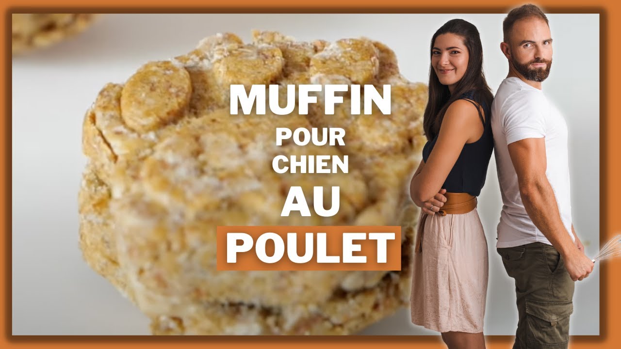 Recette pour chien : Muffin au poulet !