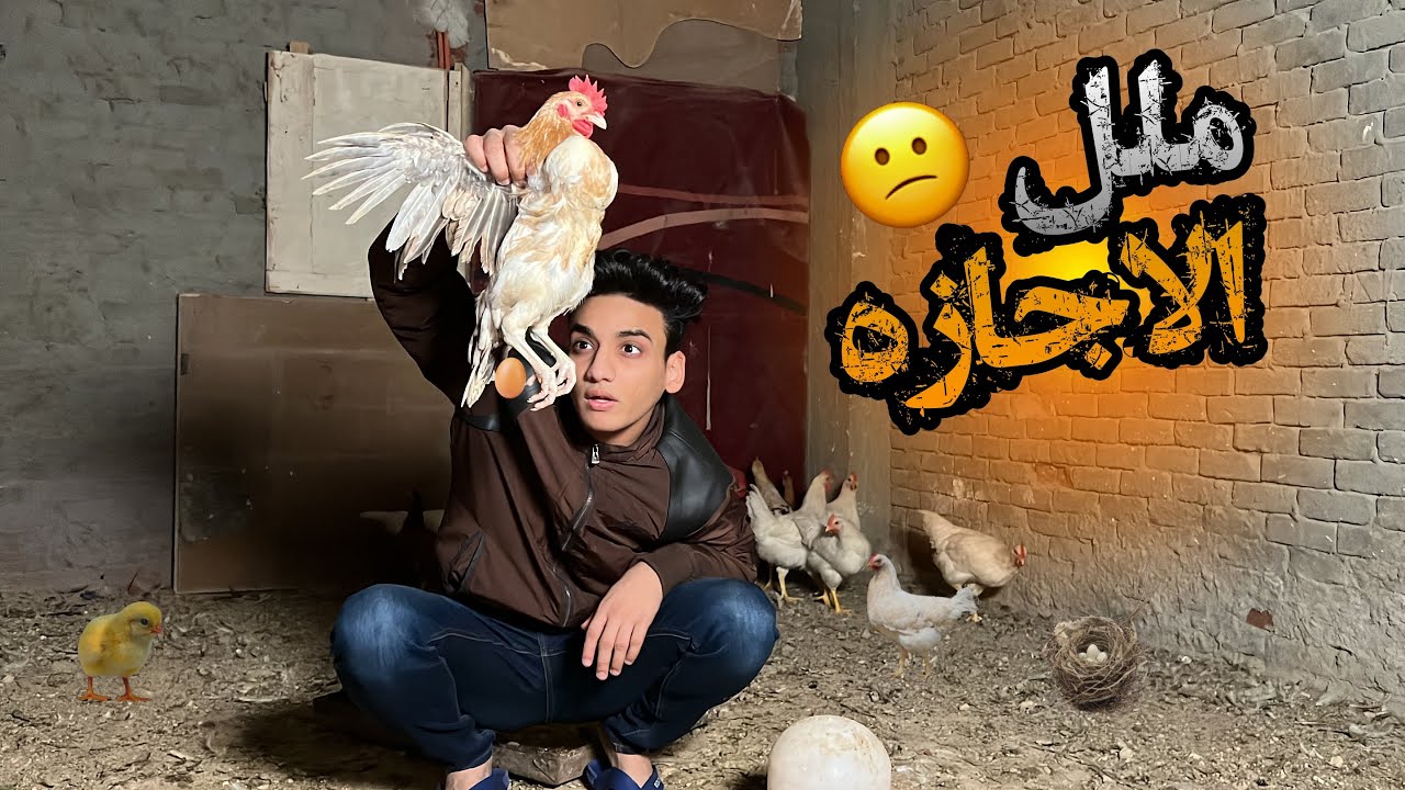 ملل الاجازه 😂😂 | القيصر