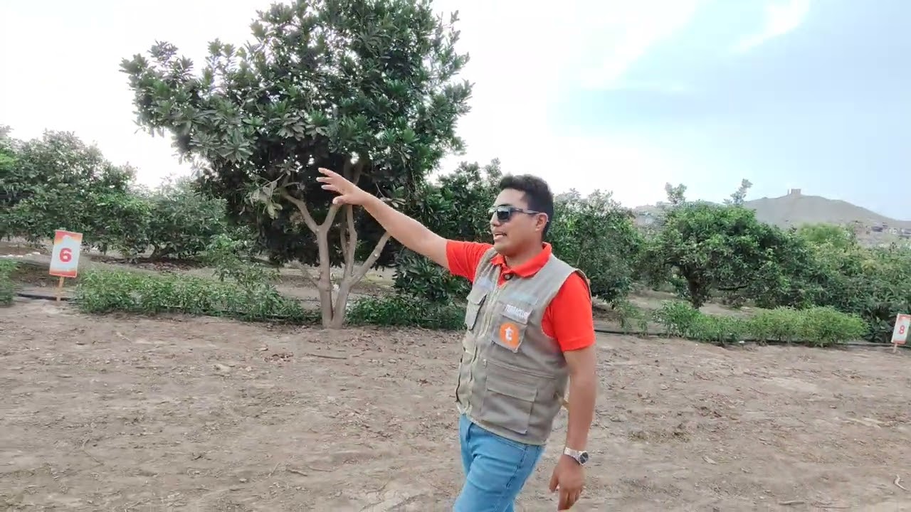 Tour Virtual de nuestro PROYECTO NARANJOS DE HUANDO🍊