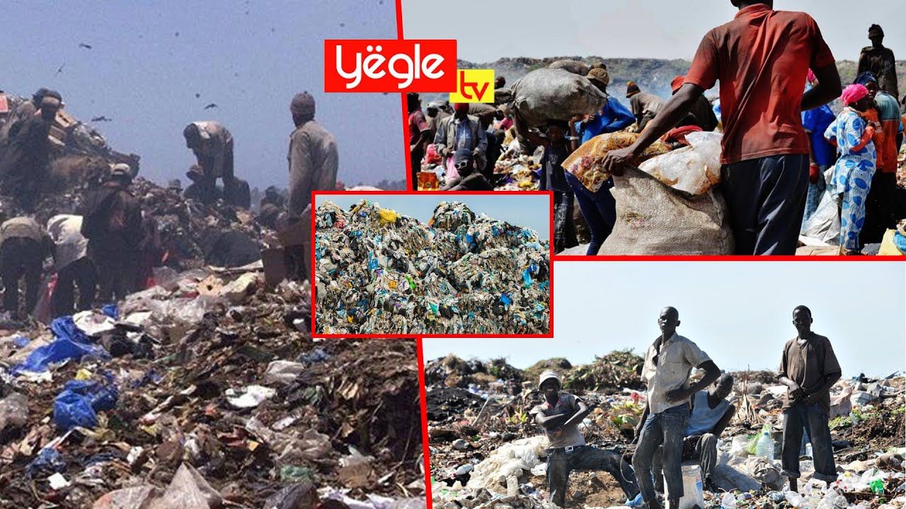 Gestion des déchets : Mbeubeuss, entre bombe écologique et terreau d’espoir...
