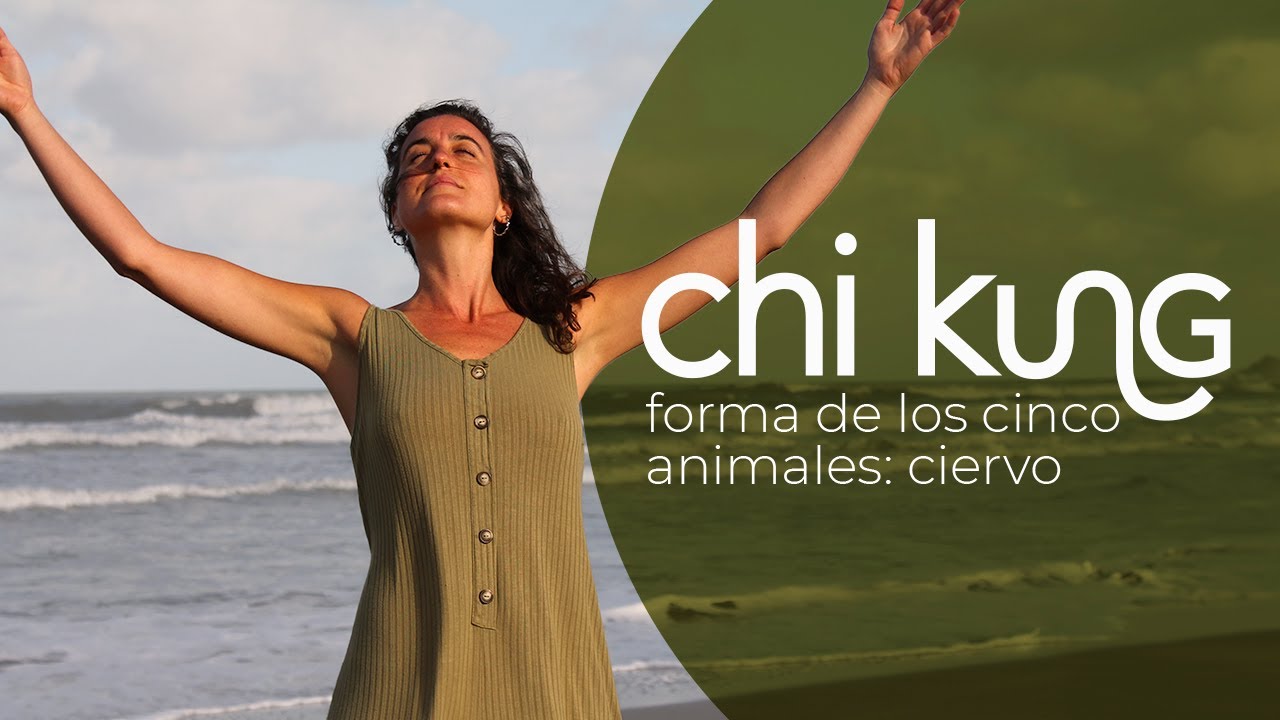 LA FORMA DEL CIERVO: Hermosa Clase de Chi Kung / Qi Gong en Español PARA TODOS LOS NIVELES.