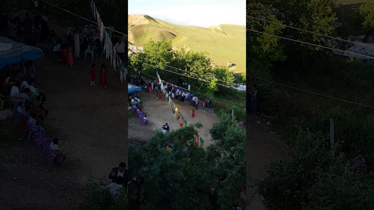 G&uuml;nde cano d&uuml;ğ&uuml;n