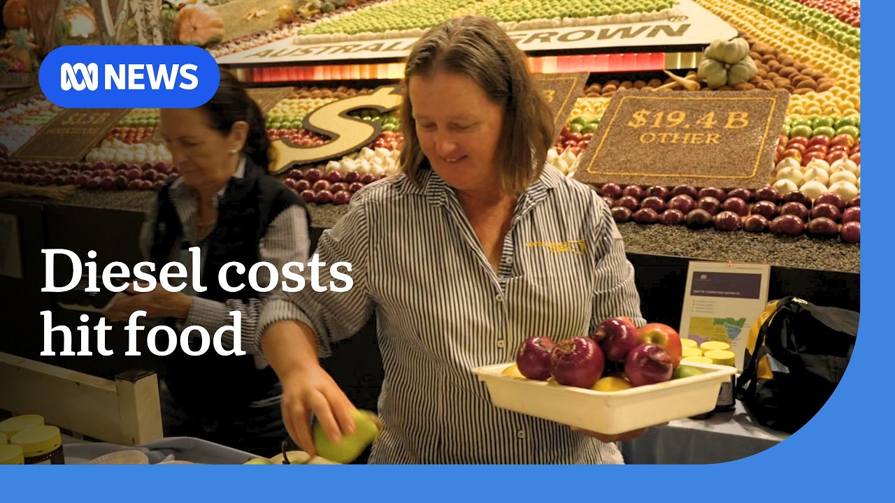 Grocery prices expected to rise as fuel costs hit farmers | ABC NEWS