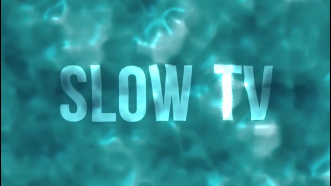 Slow TV Series 1 - Rainforests of New South Wales (Stories)