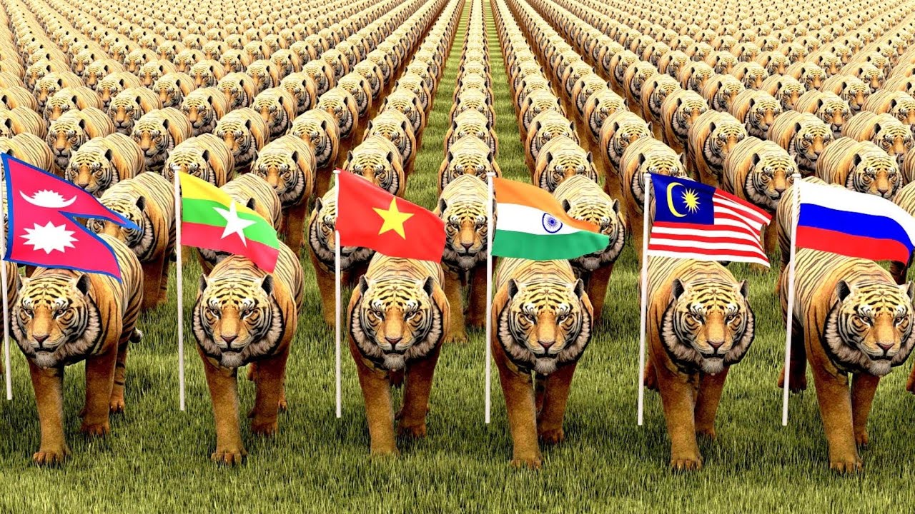 Tiger population by country 2025