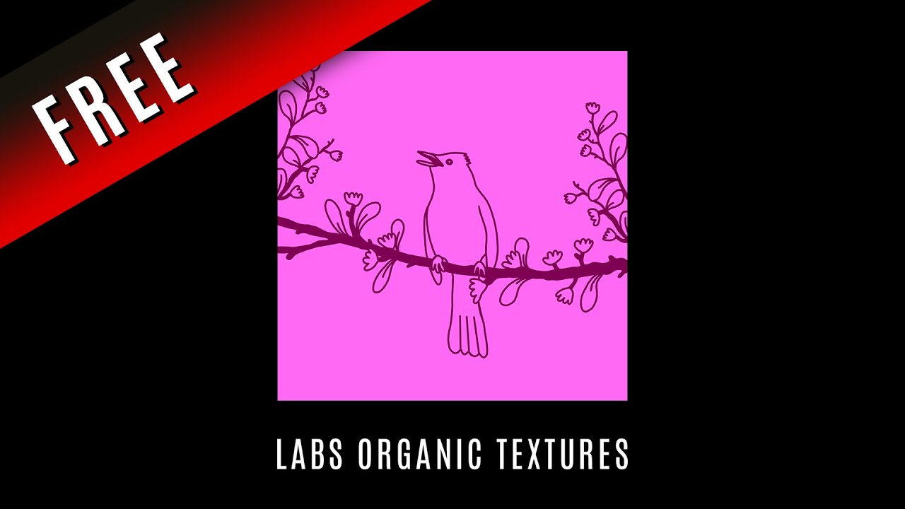 LABS Organic Textures &bull; Spitfire Audio &bull; All Factory Presets &bull; Free VST &bull; Sounds Demo &bull; No Talking