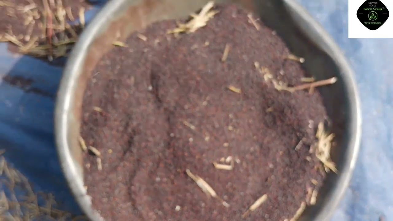 A complete review on RTB-16 Mustard             RTB16 সরিষার বৈচিত্র্যের একটি সম্পূর্ণ পর্যালোচনা