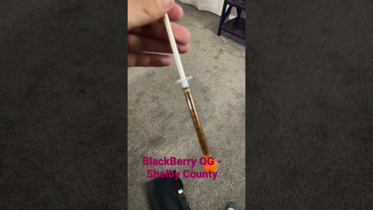 Blackberry OG- Shelby County
