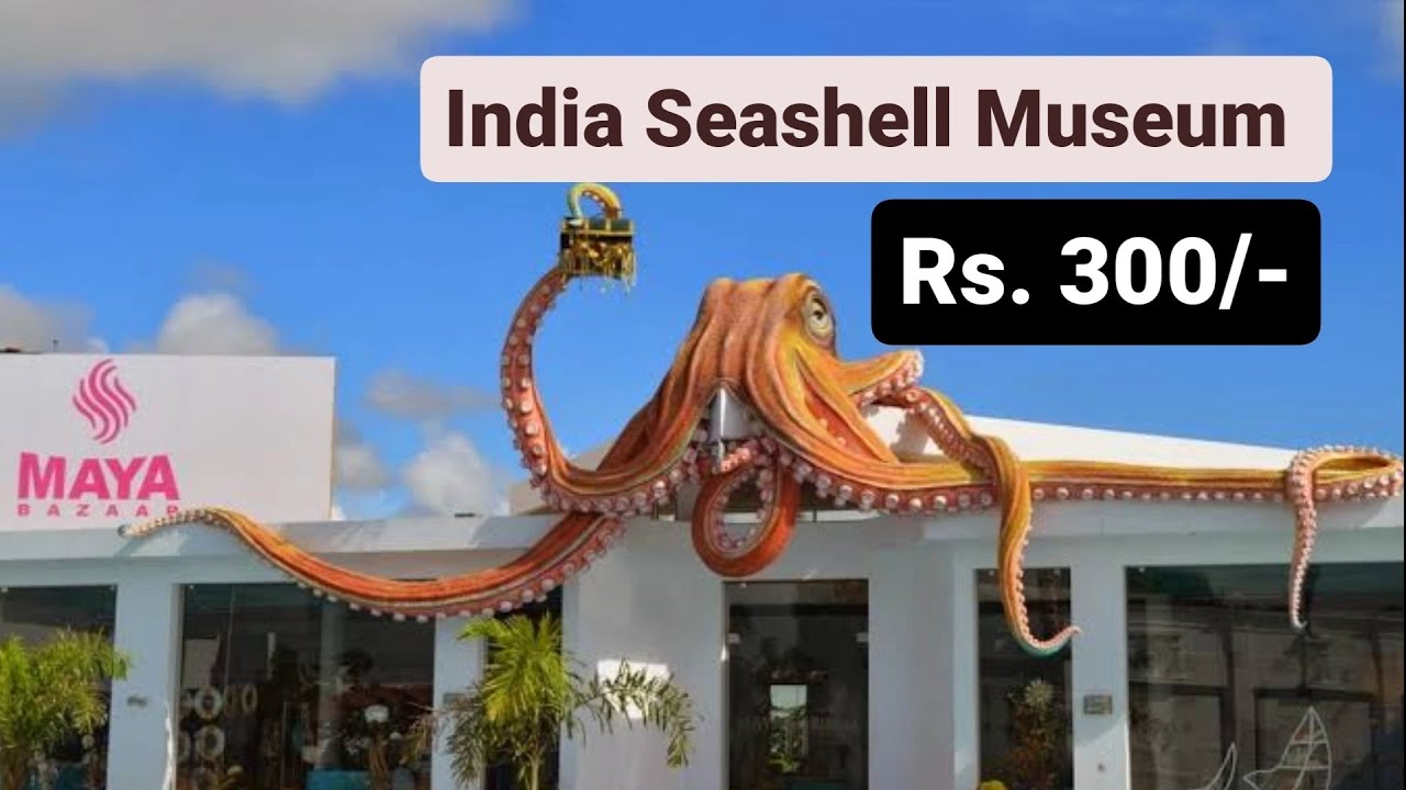 Rs.300/- India Seashell Museum - Mahabalipuram