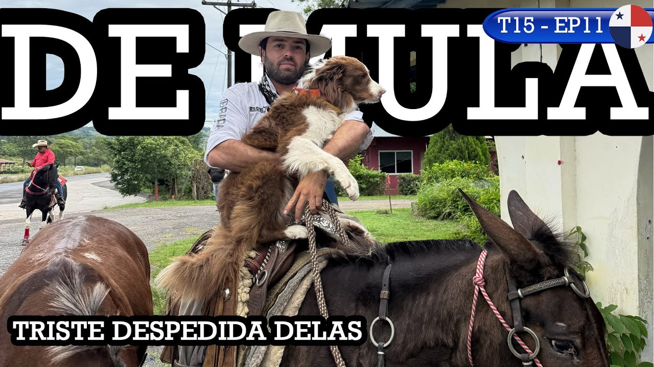 TIVE QUE ME DESPEDIR DELAS NO PANAMÁ