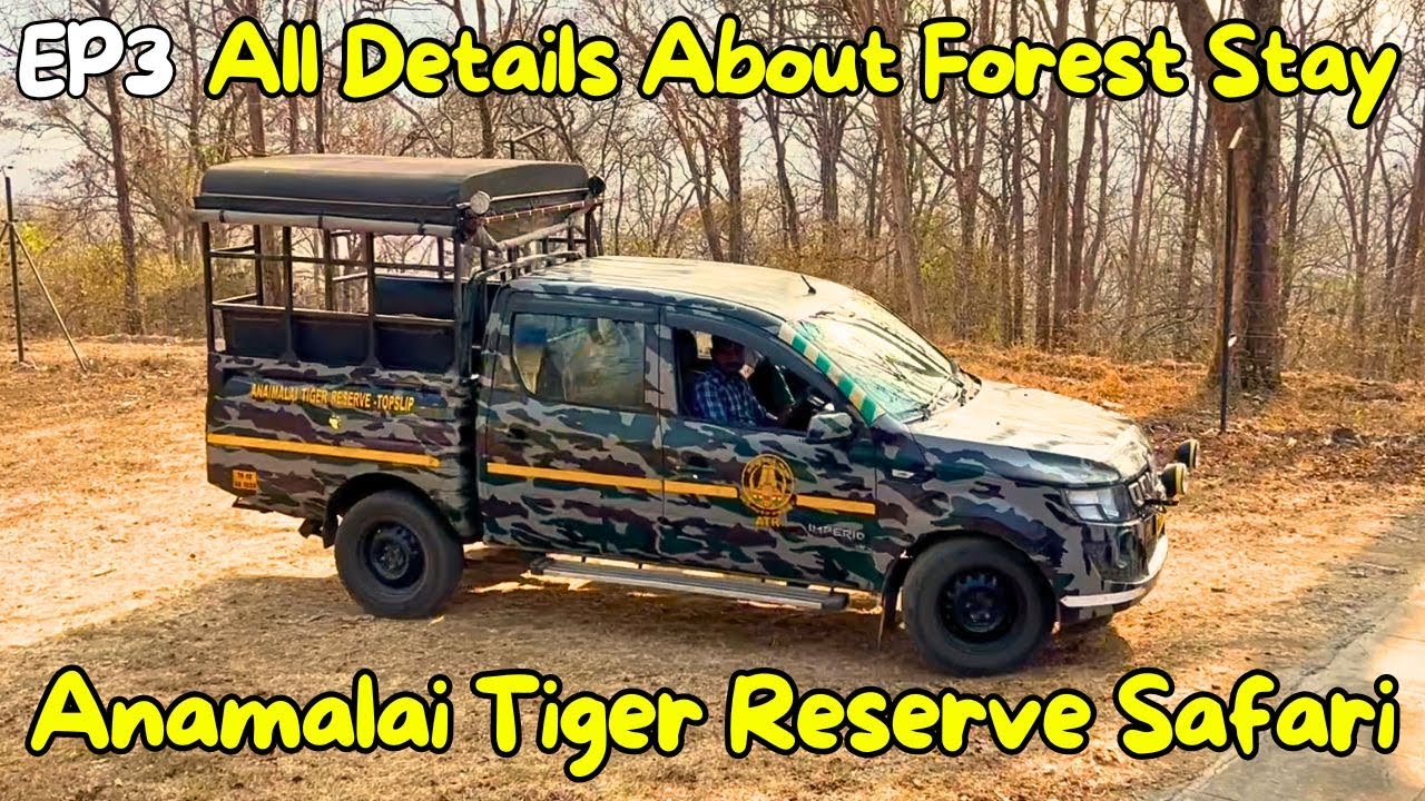 Safari in Anamalai Tiger Reserve | EP3 | All Details about Forest Stay | Booking, Food, Rules