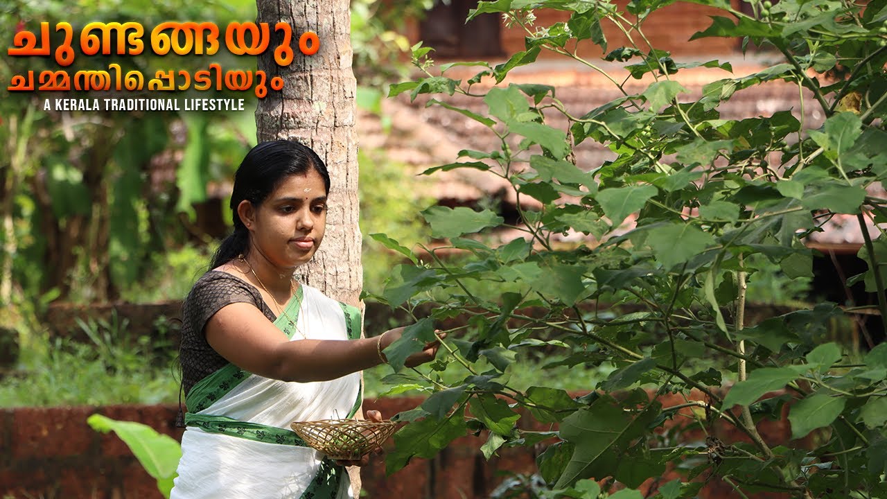 Chundanga Mezhukkupuratti & Chammandi Podi |My Traditional Life |ചുണ്ടങ്ങ,ചമ്മന്തി പൊടി,കൊണ്ടാട്ടം.