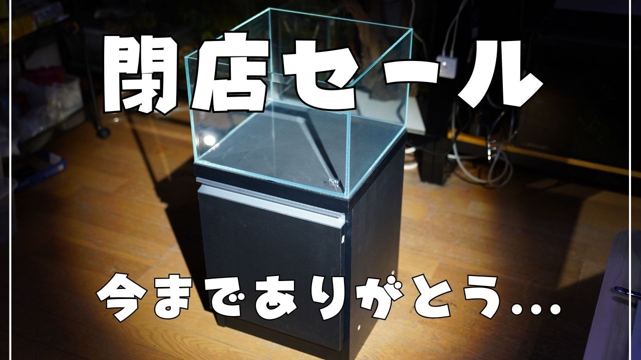 閉店セールで「幻の水槽」を保護しました。二度と手に入らない廃盤セットを開封。