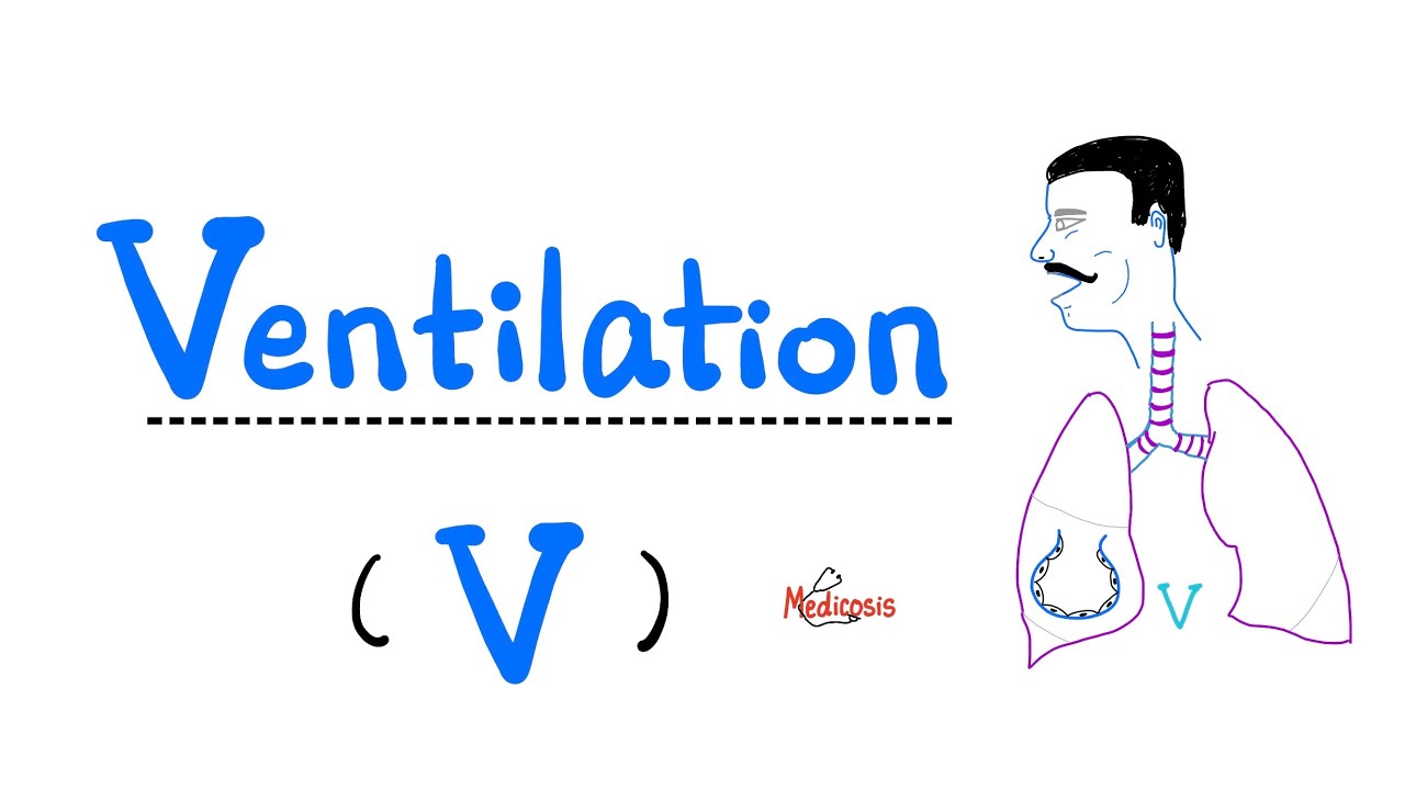 Ventilation (V), Hypoventilation & Hyperventilation - Respiratory System - Pulmonary Medicine