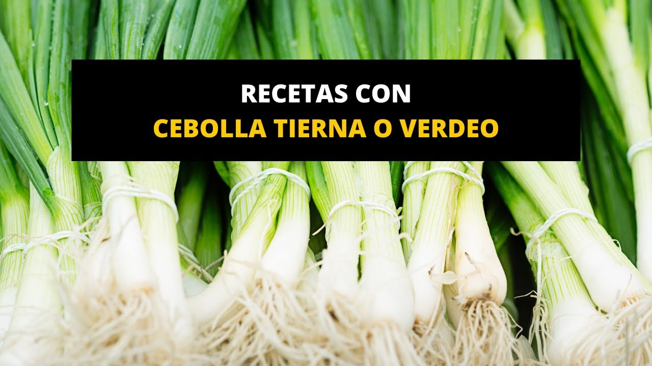 Estofado de cebolleta, cebolla tierna, cebolla de verdeo