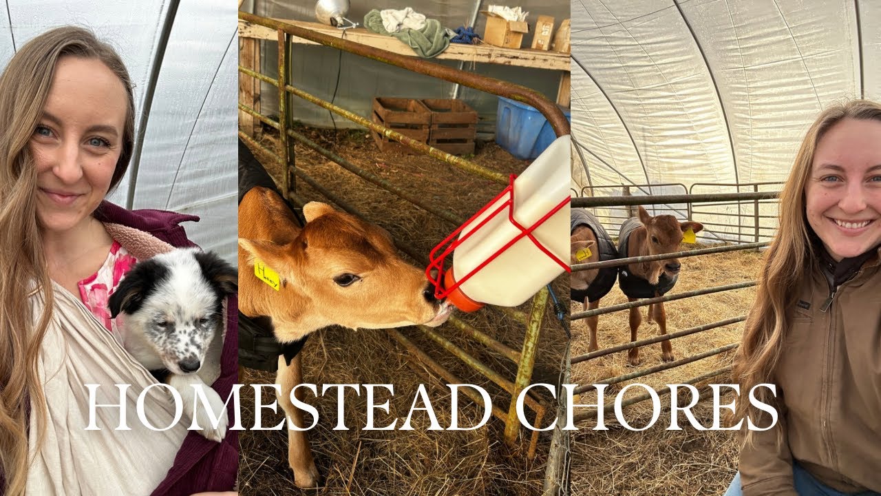 Welcome to HOMESTEADING with the HUNGERFORDS