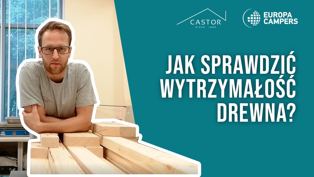 Jak sprawdzić wytrzymałość drewna?