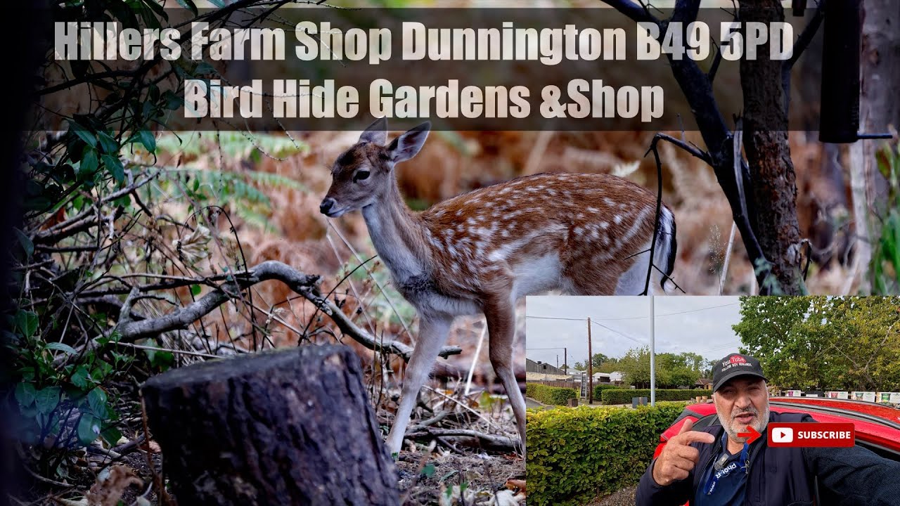 Hillers Farm Shop Dunnington B49 5PD Bird Hide Gardens & Shop