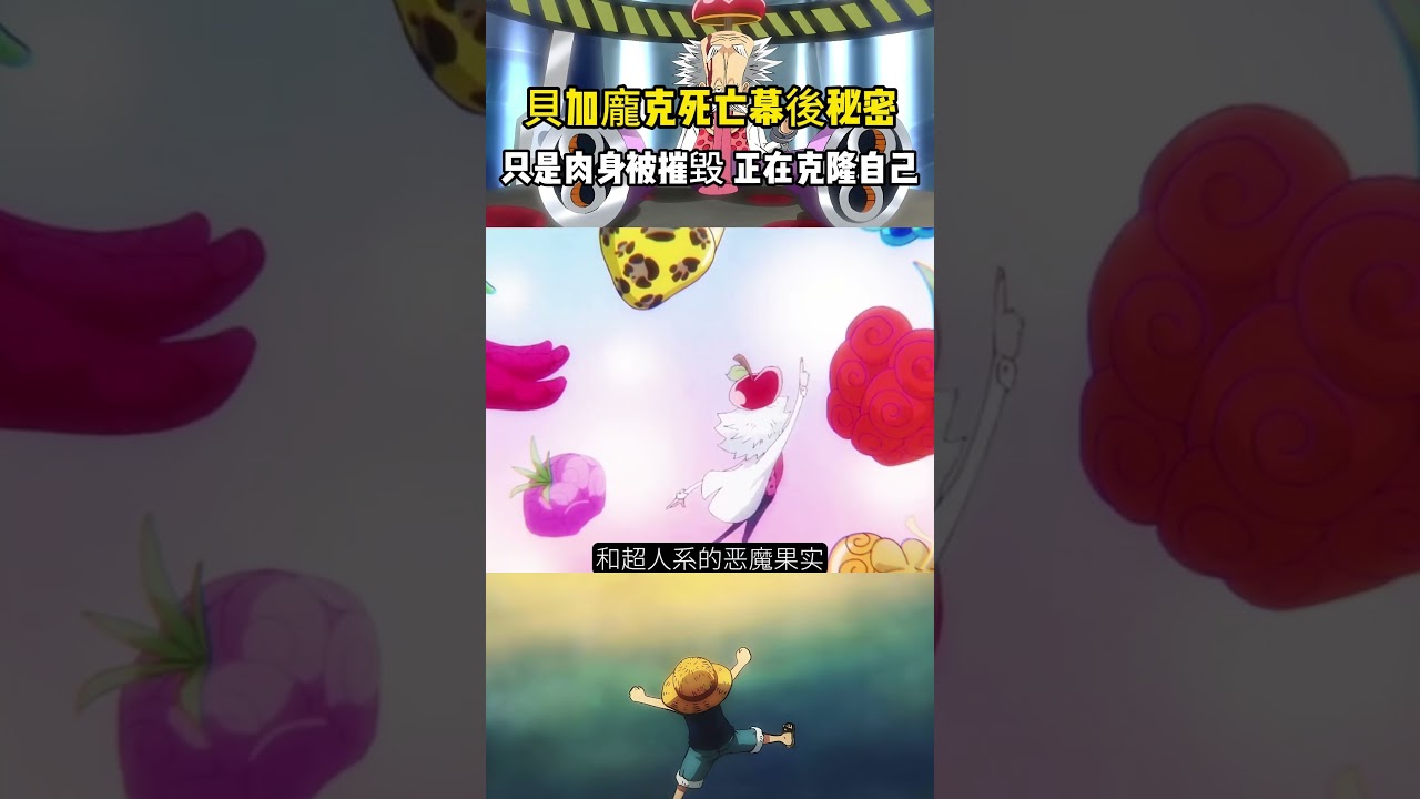 貝加龐克死亡幕後的秘密曝光，他只是肉身被摧毀，意識還留在世上，貝加龐克正在克隆自己，對五老星留了一手！ #onepiece #山賊王 #航海王 #anime #動漫 #路飞 #推薦 #sasuke