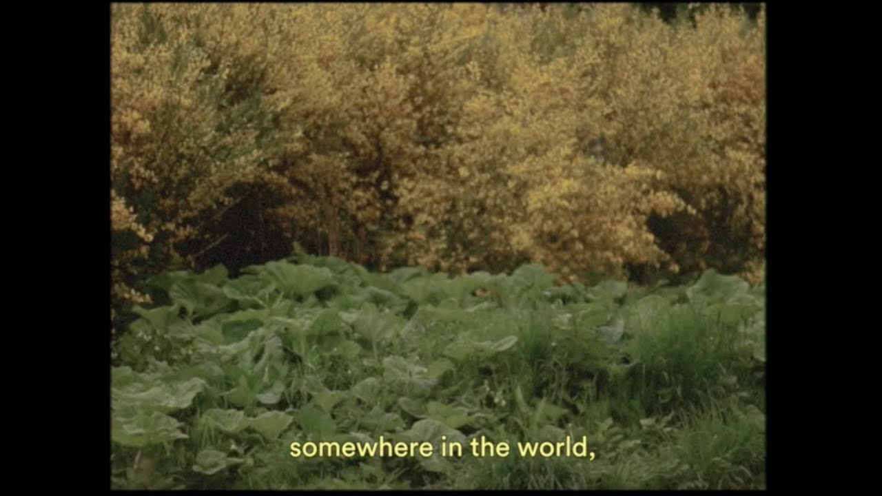 somewhere