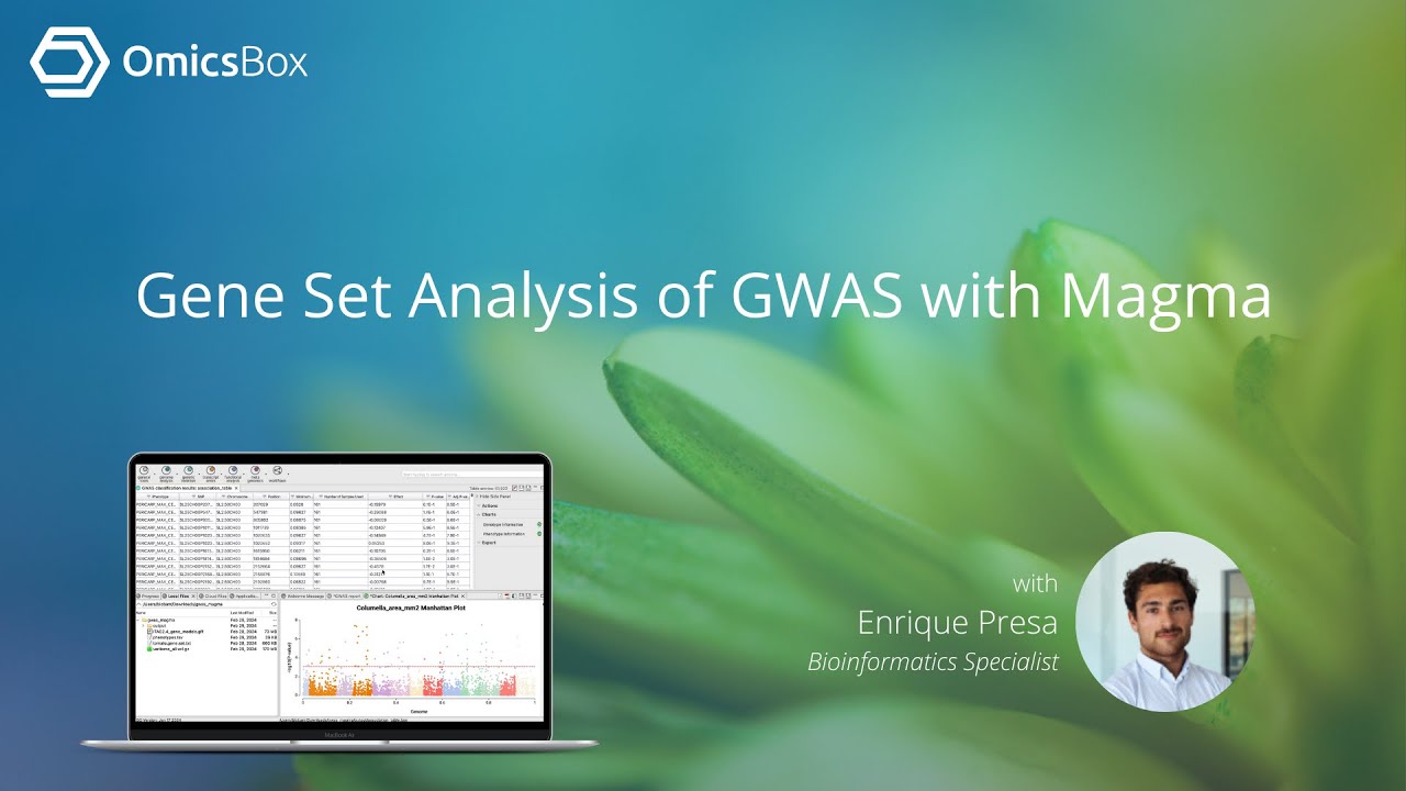 Gene Set Analysis of GWAS with Magma in OmicsBox