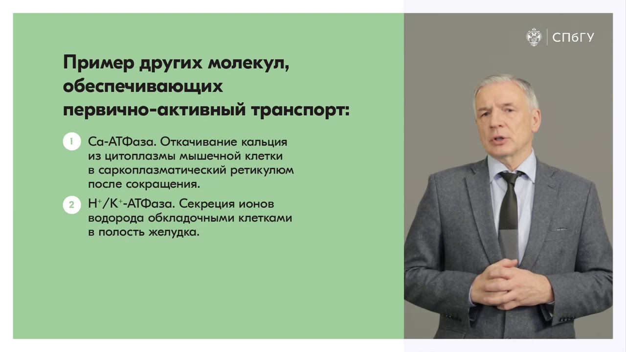 Механизмы активного транспорта