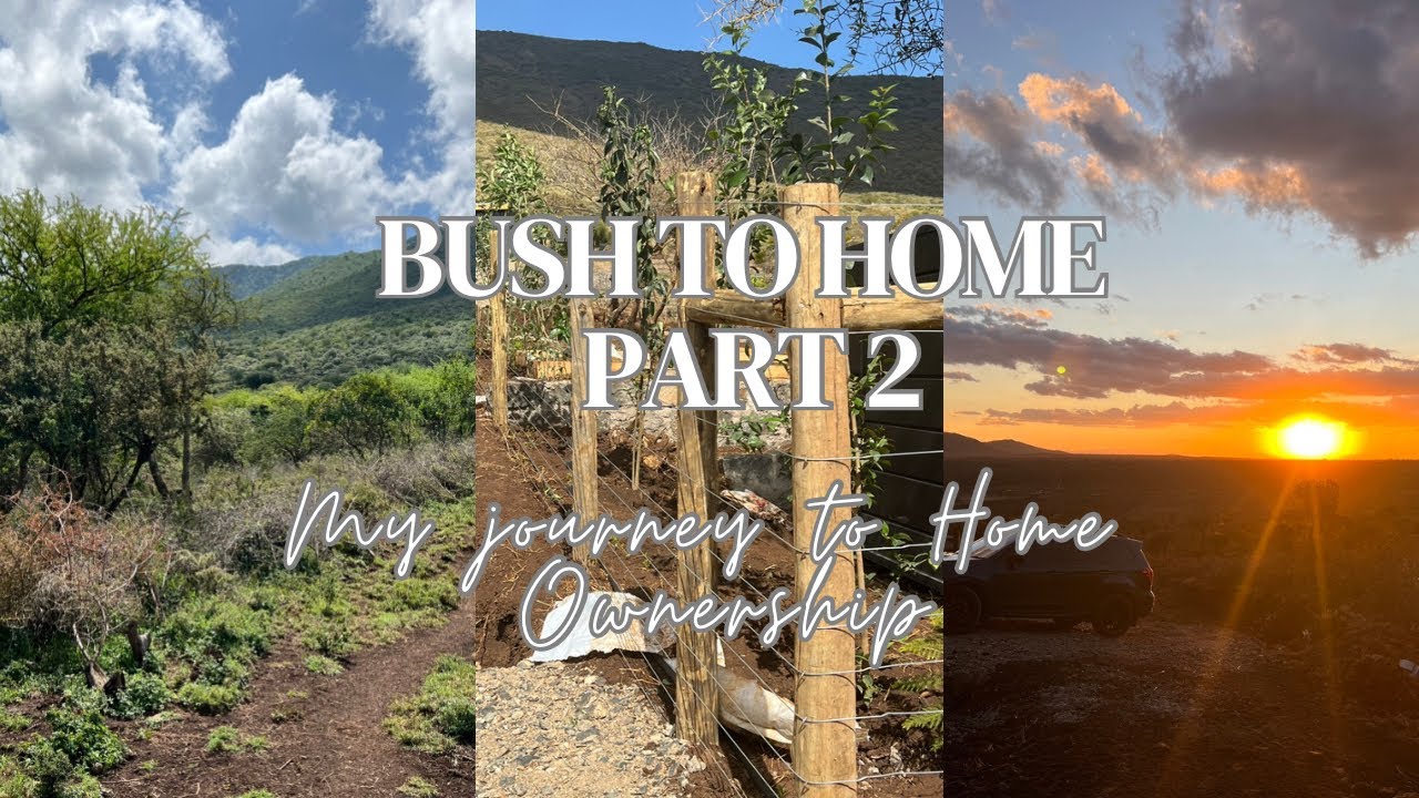 FROM A BUSH TO A HOME - PART 2 | FENCING AND TREE PLANTING| OFF-GRID LIVING.