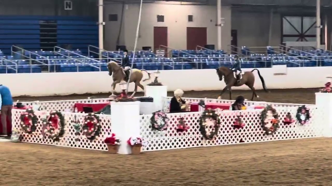 Arabian Hunter pleasure JOTR 18 and under - so happy about this class!