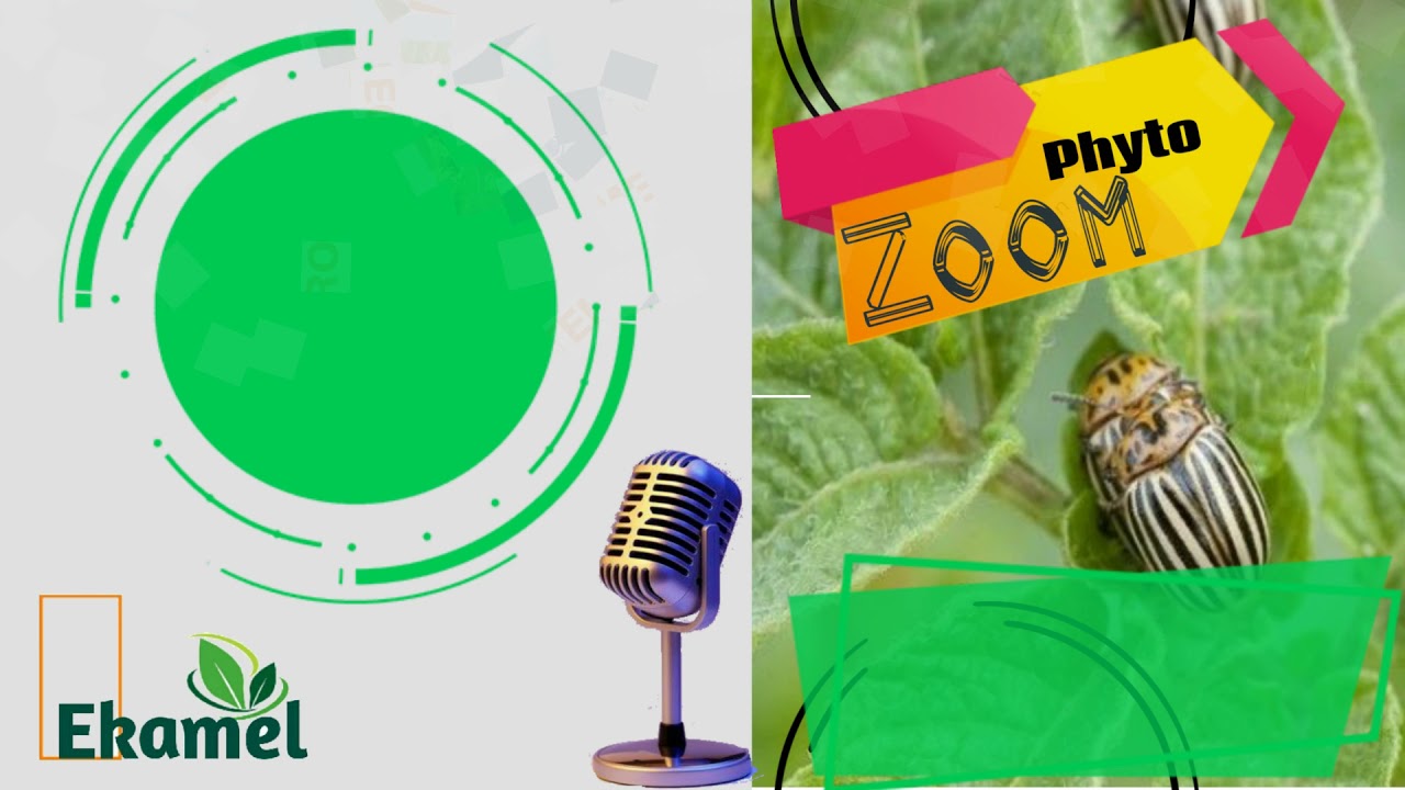 ZOOM PHYTO : La gestion intégrée des nuisibles des cultures maraichères: Introduction