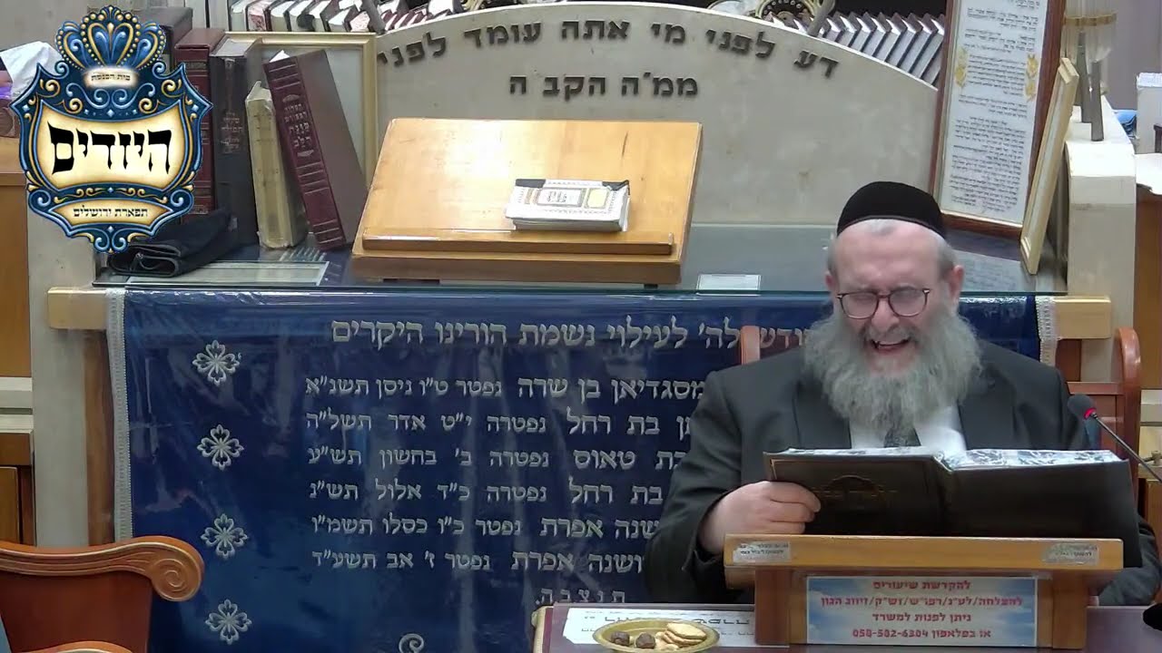 הרב יהושע ויזגן מסכת חולין דף עד עמוד א'