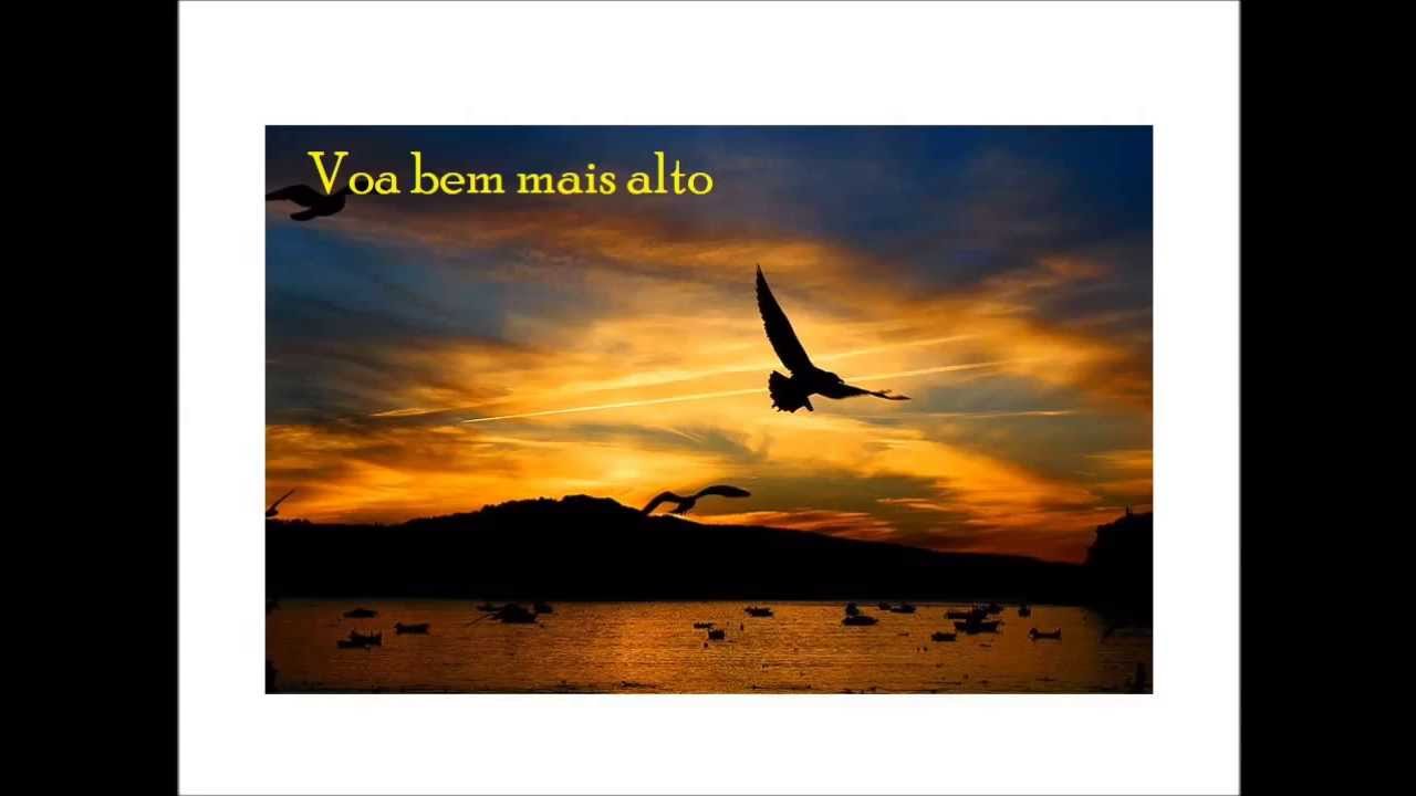 Voa bem mais alto