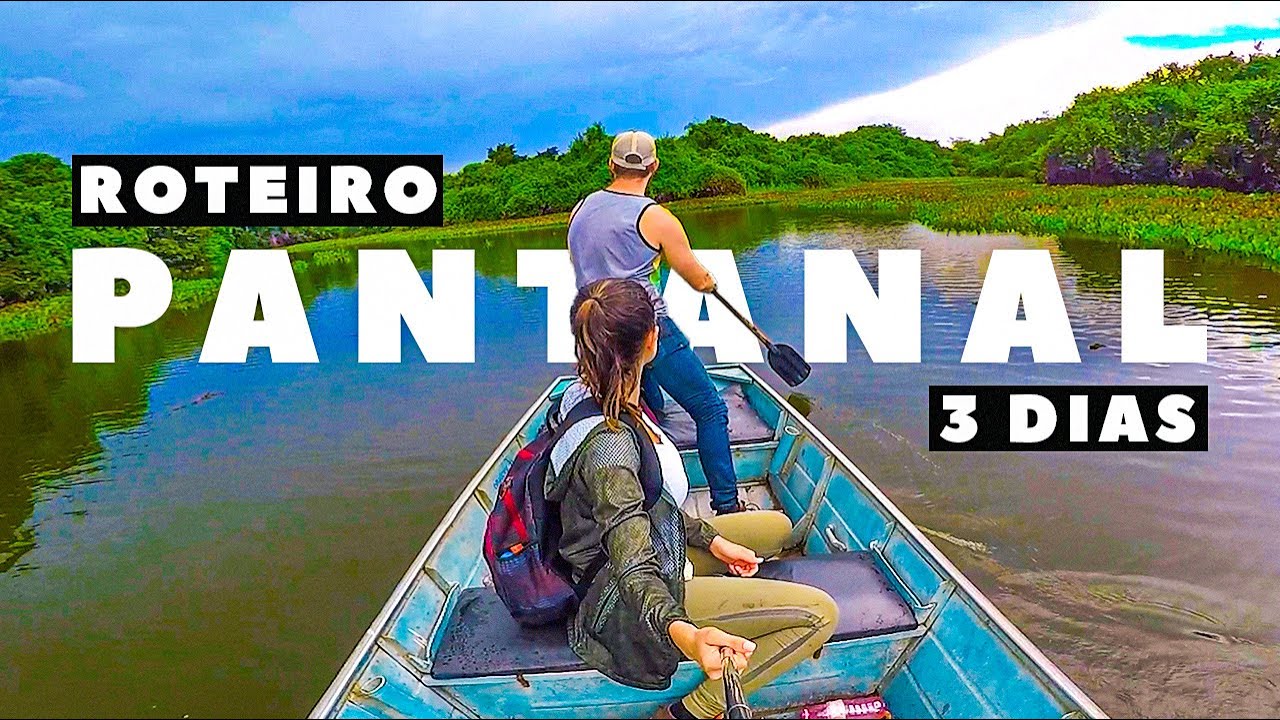 O QUE FAZER NO PANTANAL? Todas as dicas