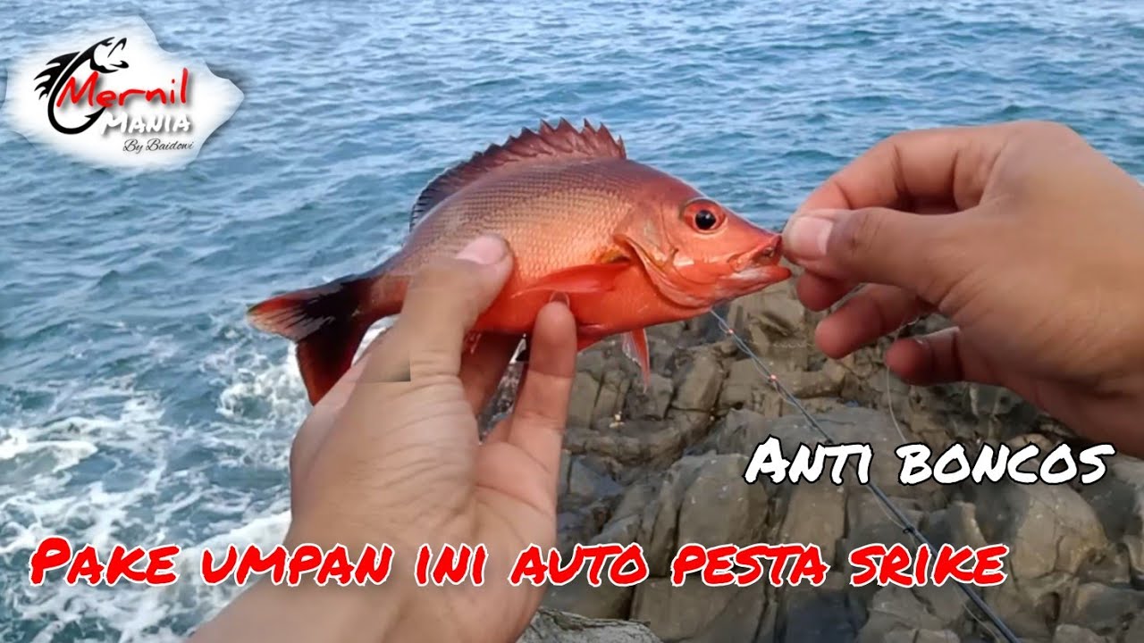 ULTRALIGHT FISHING | umpan andalan 99% pasti STRIKE mancing dasaran | mernil mania#02
