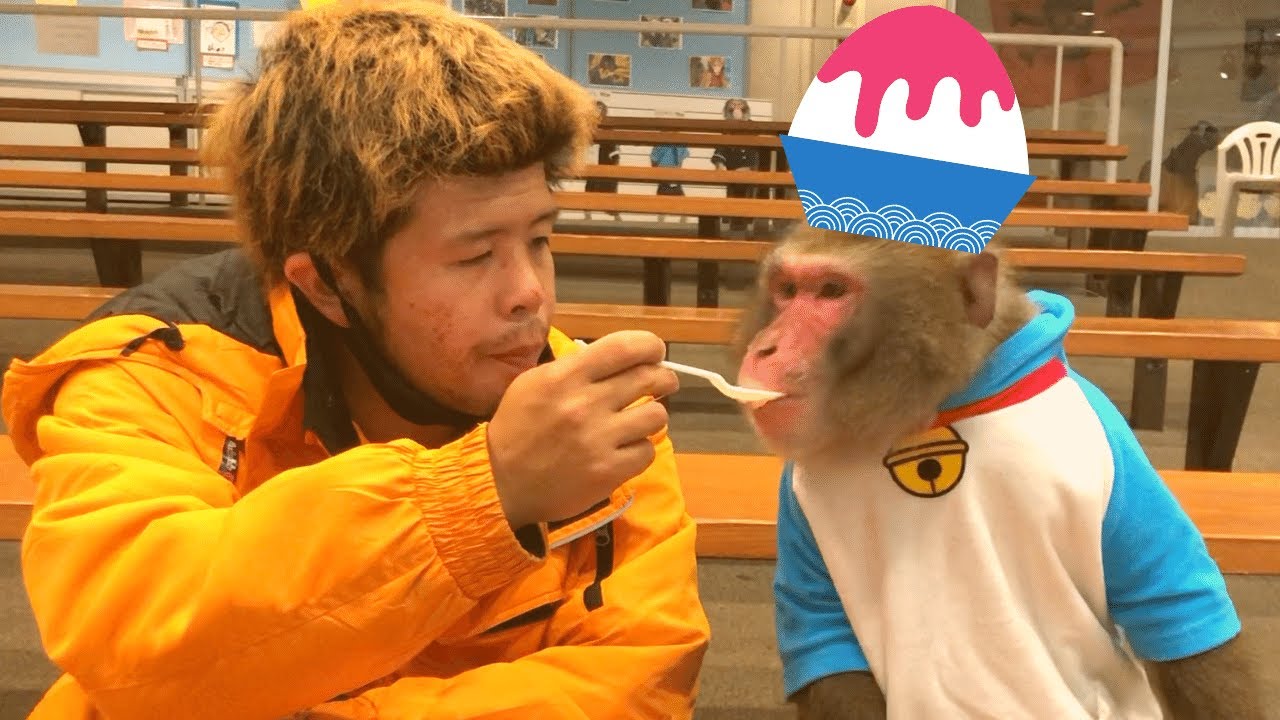 ともきりき、かき氷食べる