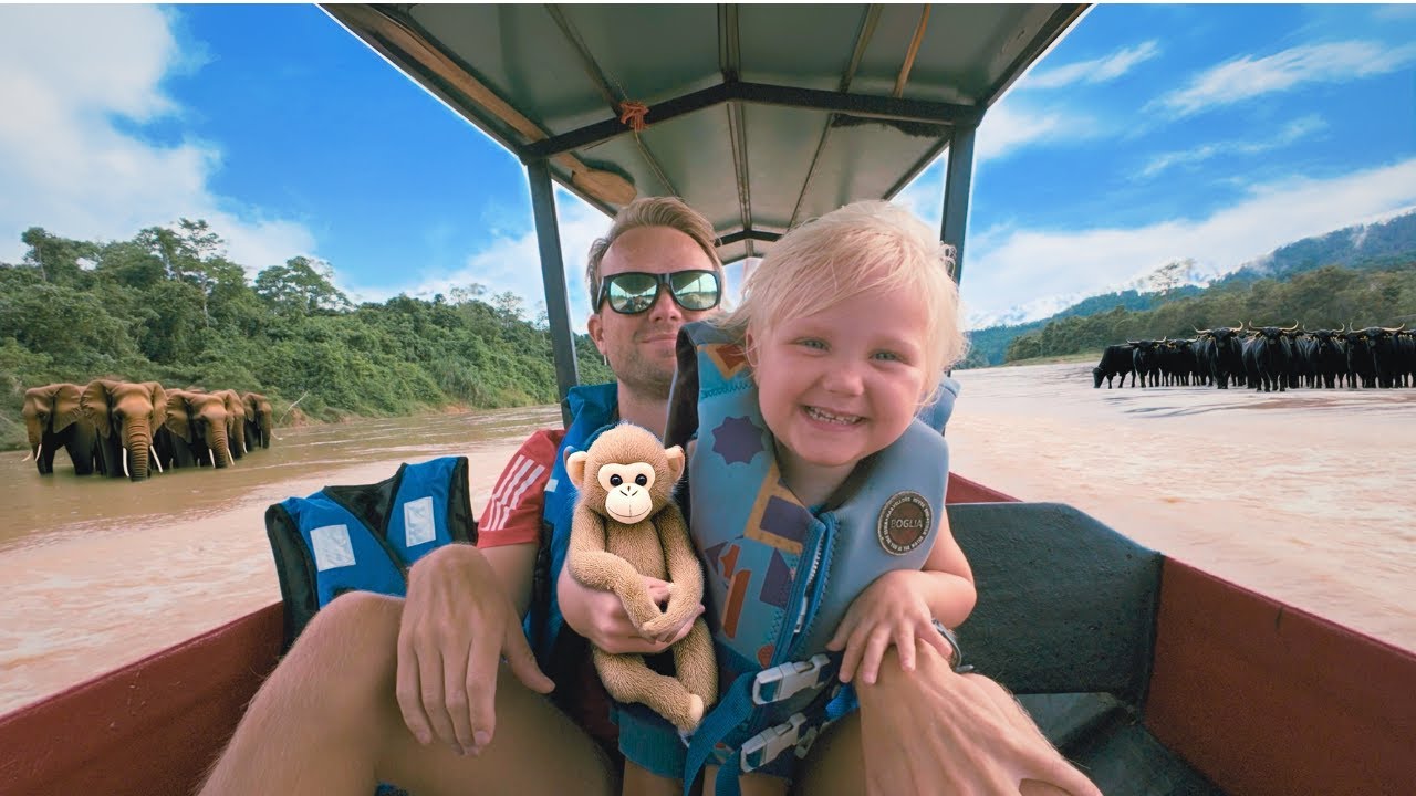 Taman Negara: The Ultimate Family Adventure?