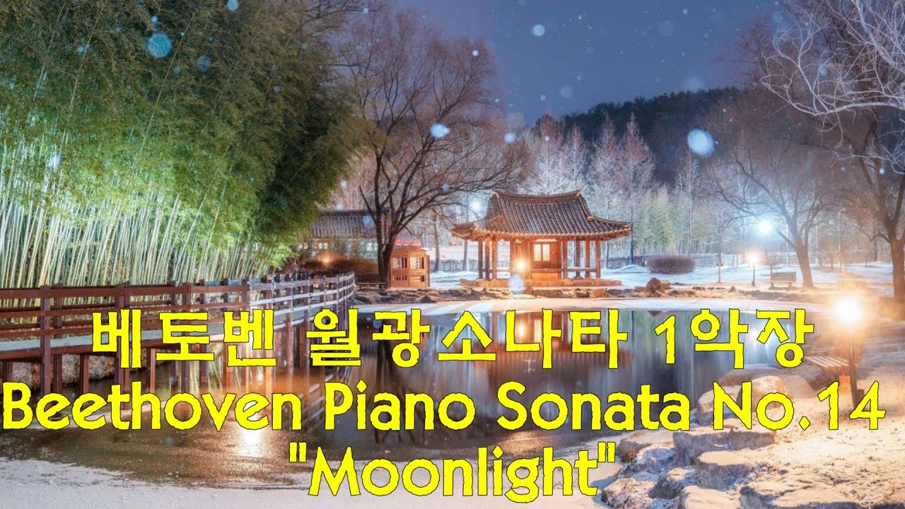 베토벤 월광소나타 1악장 Beethoven Piano Sonata No.14 